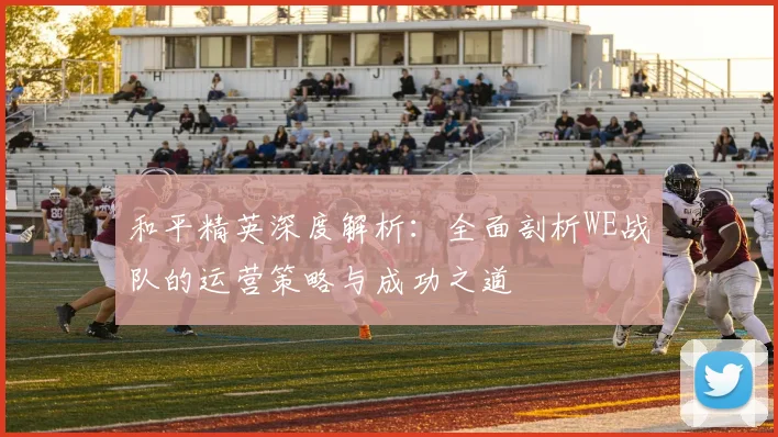和平精英深度解析：全面剖析WE战队的运营策略与成功之道