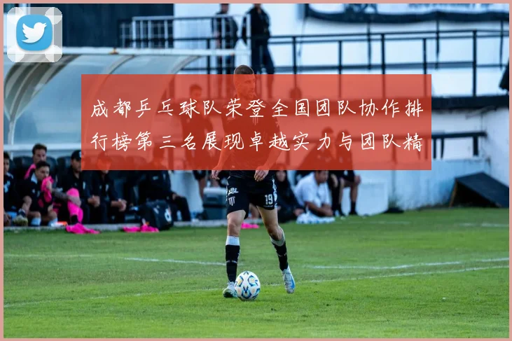 成都乒乓球队荣登全国团队协作排行榜第三名展现卓越实力与团队精神