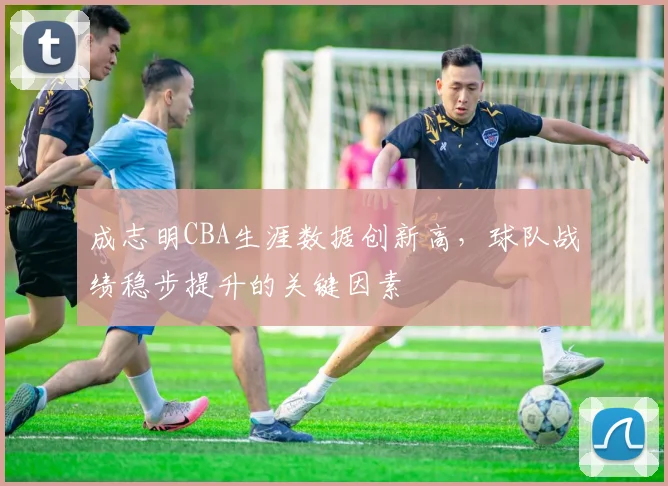 成志明CBA生涯数据创新高，球队战绩稳步提升的关键因素