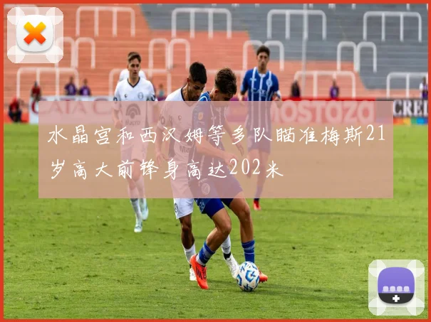 水晶宫和西汉姆等多队瞄准梅斯21岁高大前锋身高达202米