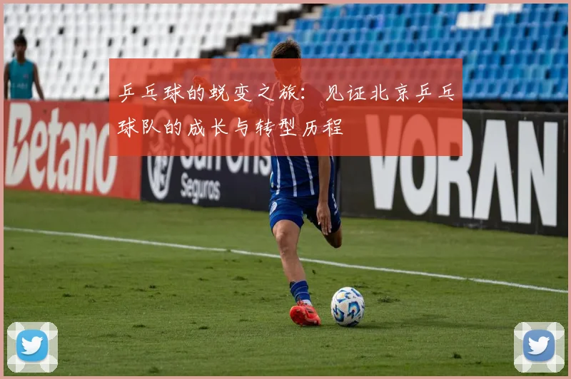 乒乓球的蜕变之旅：见证北京乒乓球队的成长与转型历程